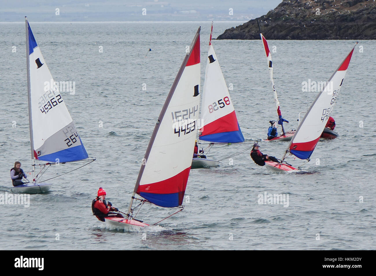 Topper Sailing Dinghies during Race Training at North Berwick Stock