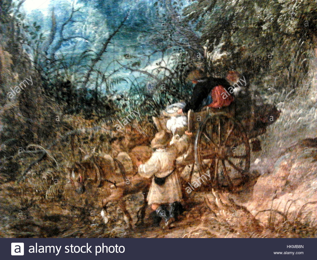 Govaerts Stock Photos & Govaerts Stock Images Alamy