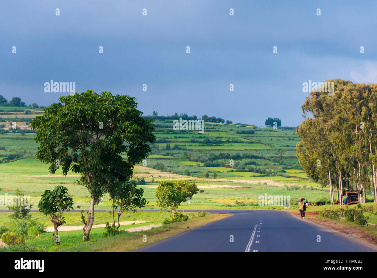 Road through farmland, Bahir Dar, Ethiopia Stock Photo