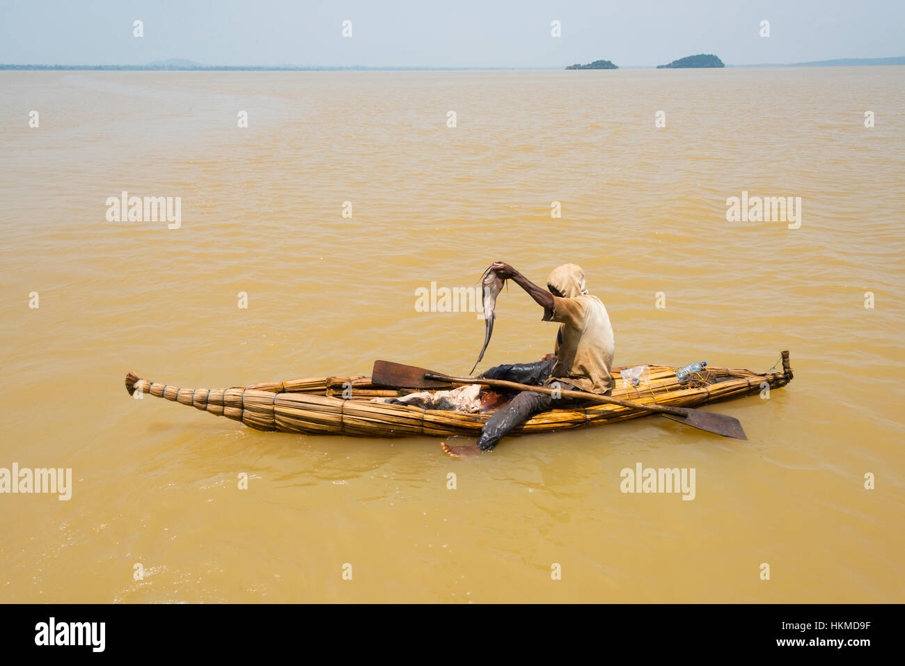 Fisherman on canoe made of papyrus plant, Lake Tana, Bahir Dar, Ethiopia Stock Photo