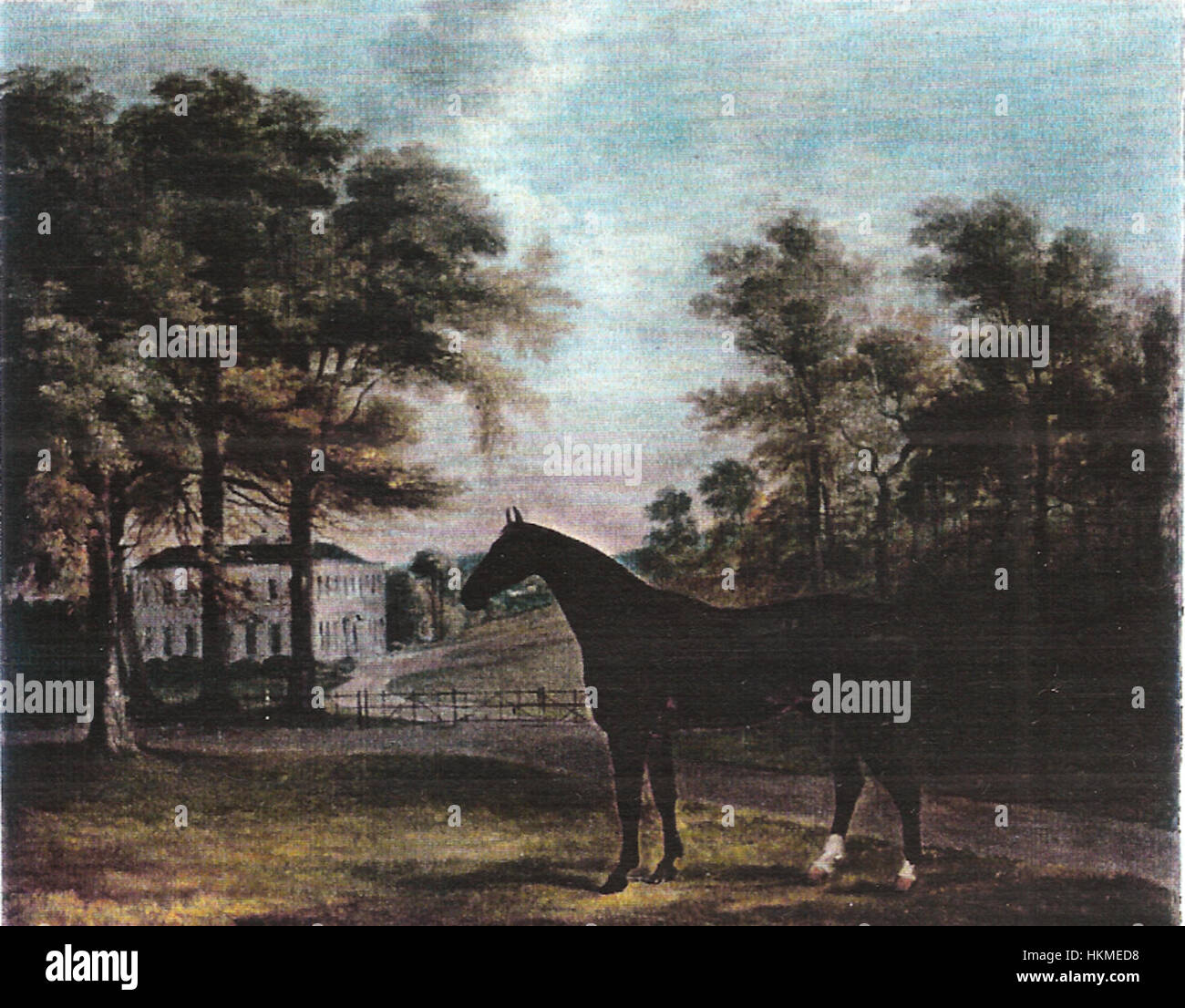 A horse in a landscape with castlemartin in the background. The property was occupied by the Carter family from 1730 to 1850 Stock Photo
