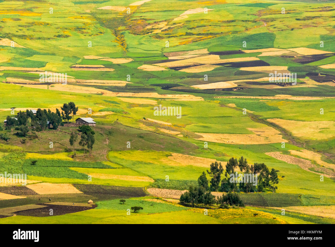 Village house and farmland in the mountain, Gondar, Ethiopia Stock