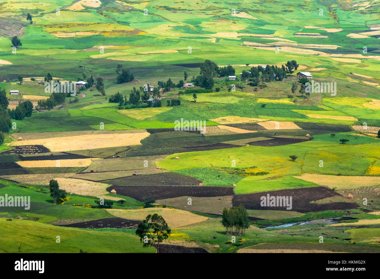 Village house and farmland in the mountain, Gondar, Ethiopia Stock