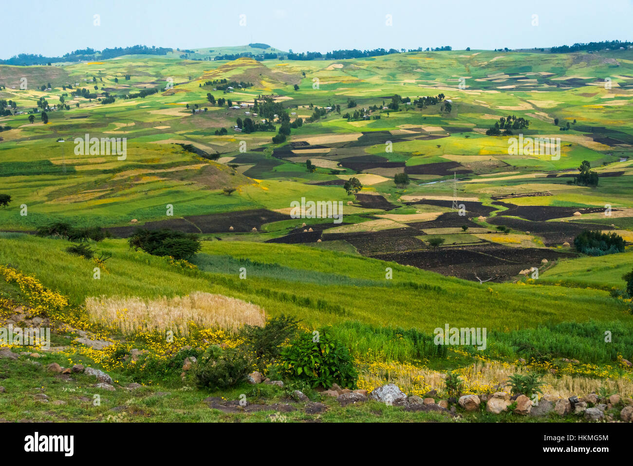 Village house and farmland in the mountain, Gondar, Ethiopia Stock