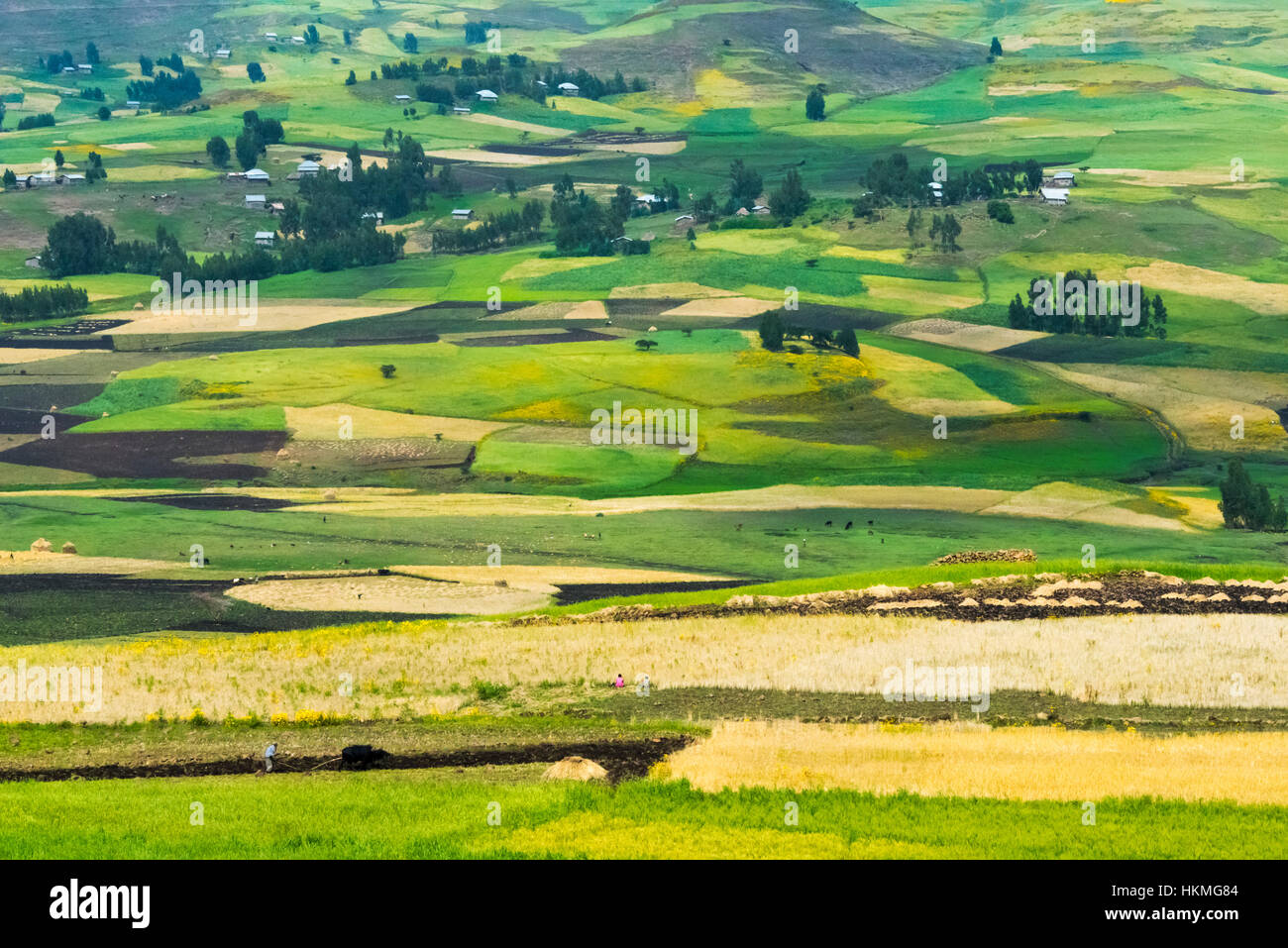Village house and farmland in the mountain, Gondar, Ethiopia Stock
