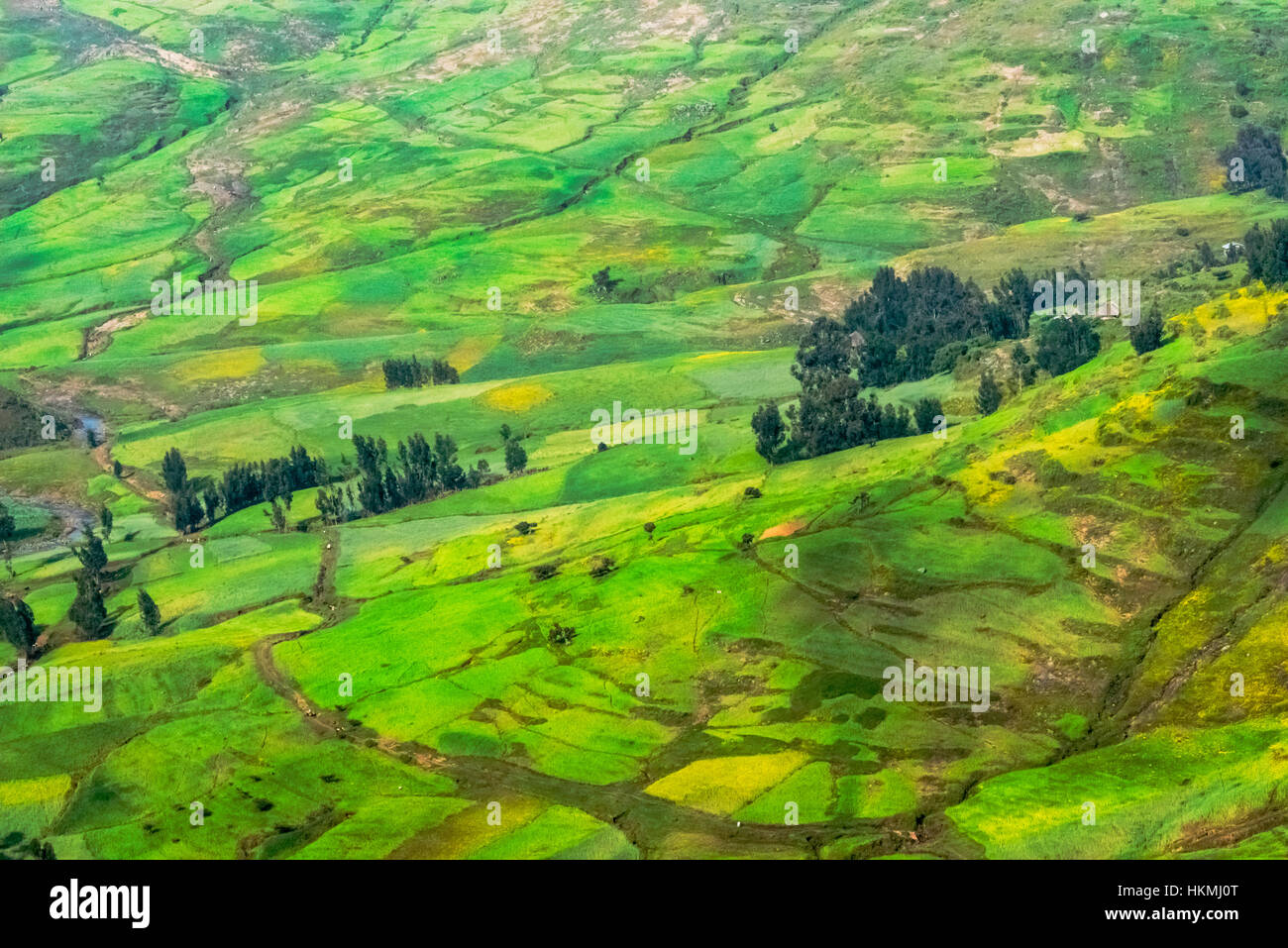 Ethiopian agriculture hires stock photography and images Alamy