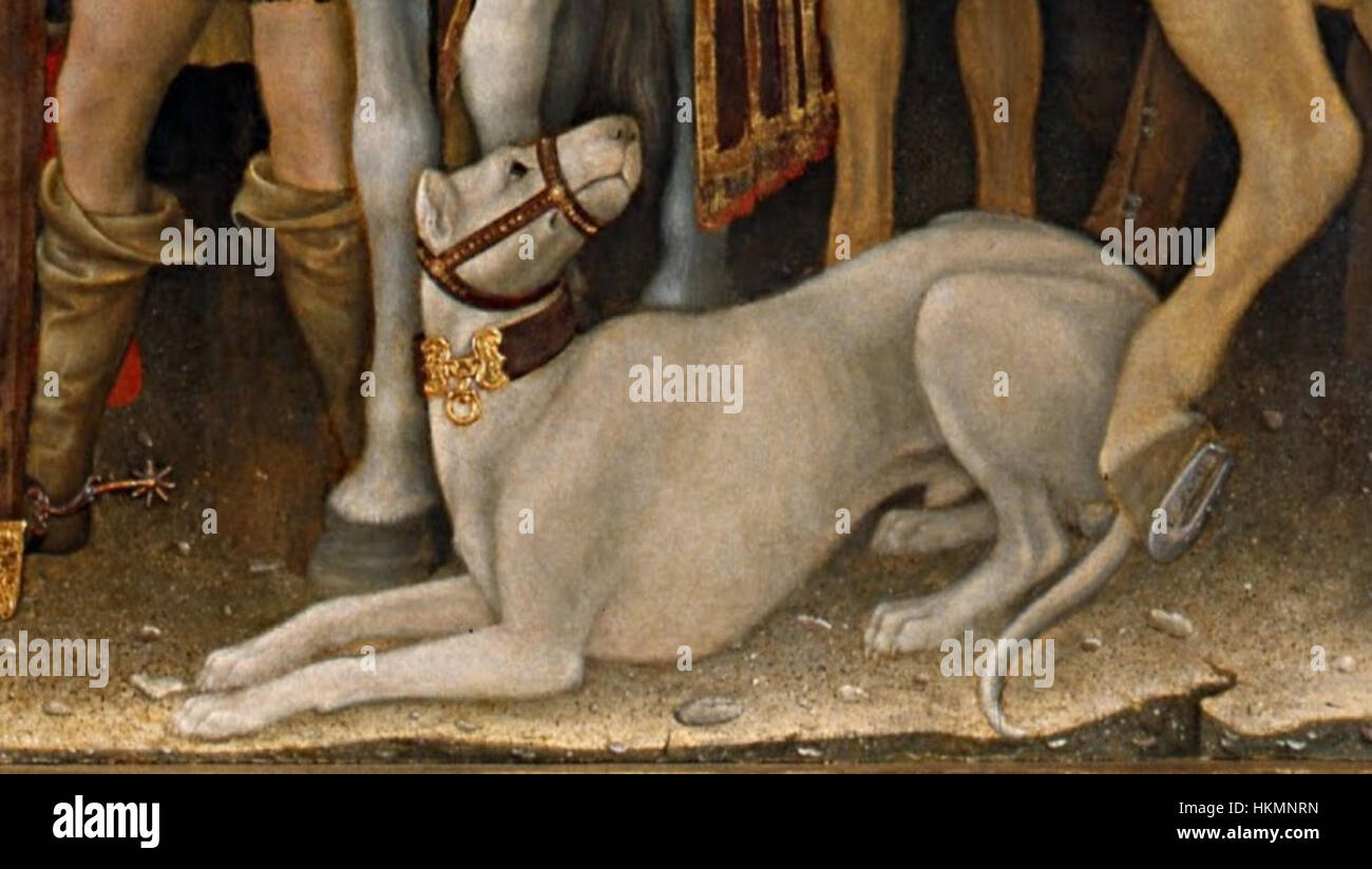 Ancient alaunt hotsell