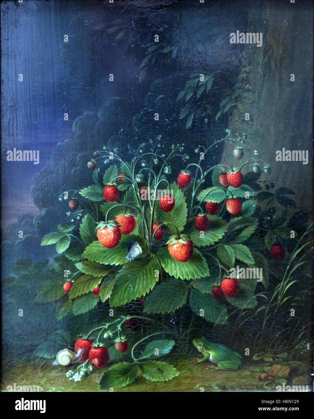 1820 Schlesinger Erdbeeren anagoria Stock Photo