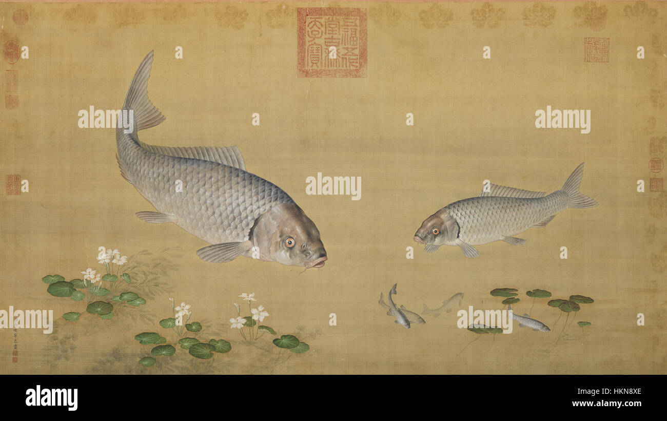 Aquatic Plants and Fish Stock Photo Alamy