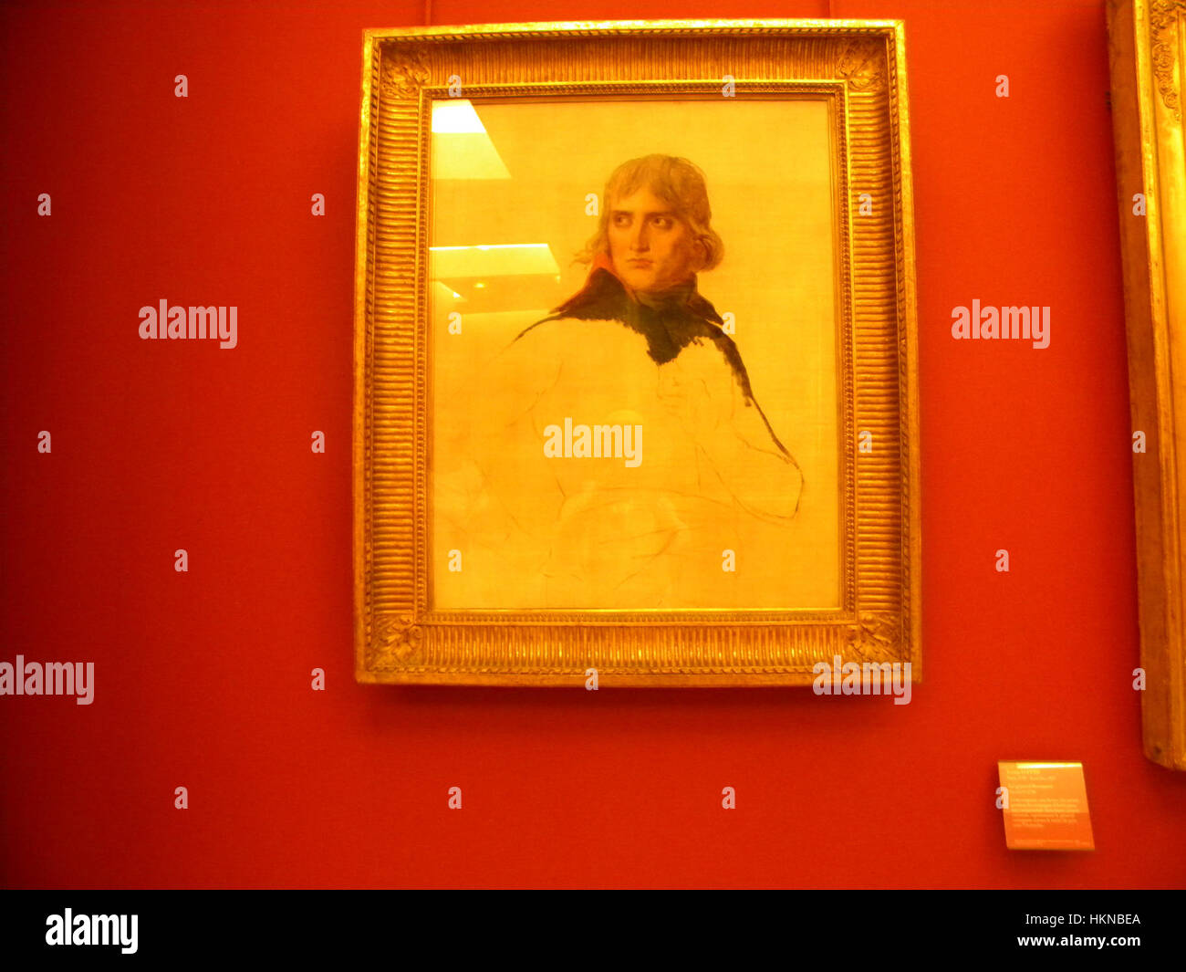 LOUVRE Museum (Napoleon by David), Paris Stock Photo Alamy