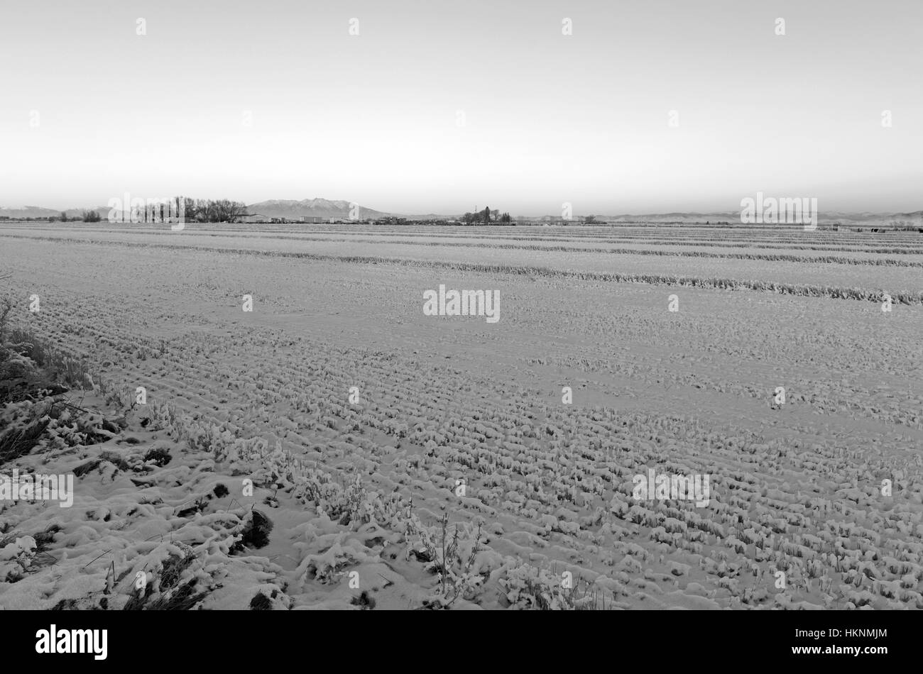 Winter mountains snow farming Black and White Stock Photos & Images - Alamy