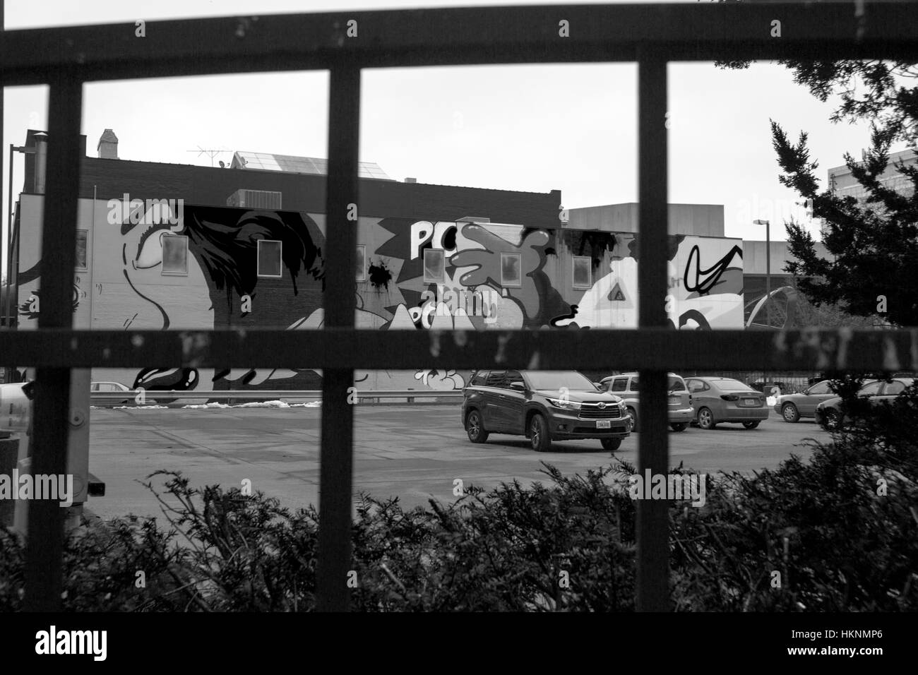 Des Moines, USA, 28 January 2017. Art behind bars-Graffiti art on a building wall in black and white behind bars in the foreground following news that Donald Trump may defund the National Endowment for the Arts. Cynthia Hanevy/Alamy Live News Stock Photo