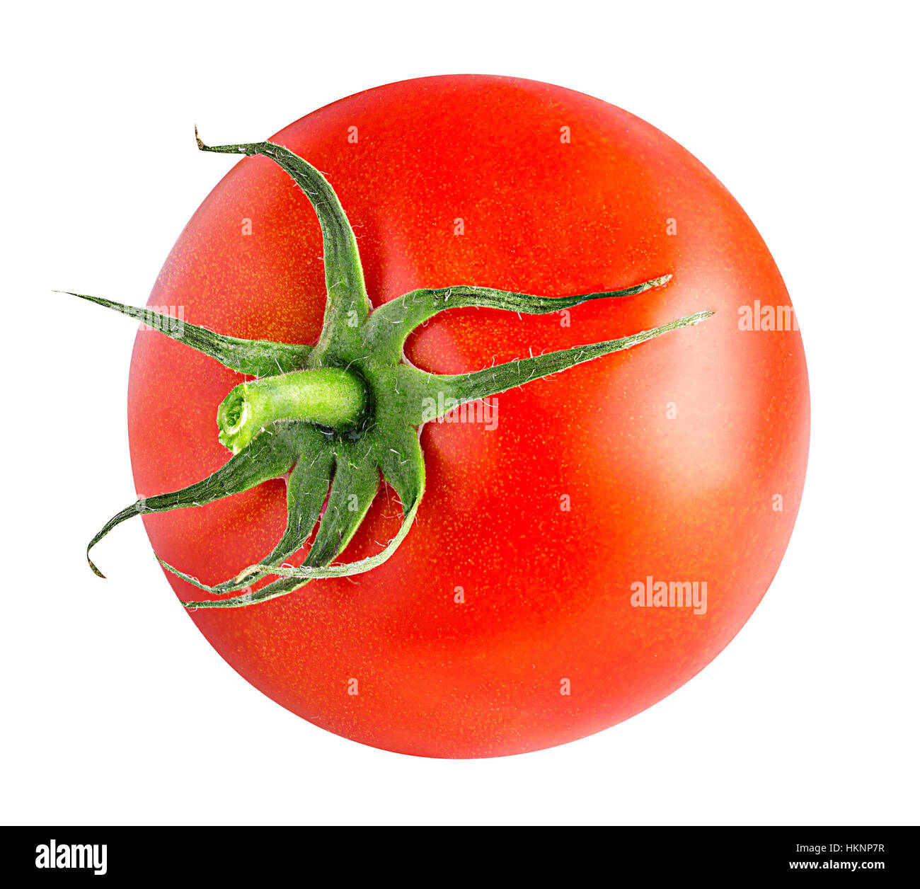 Tomato isolated on white background Stock Photo - Alamy