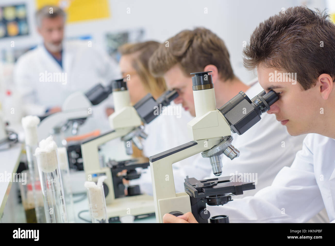 Students Using Microscopes Stock Photo - Alamy