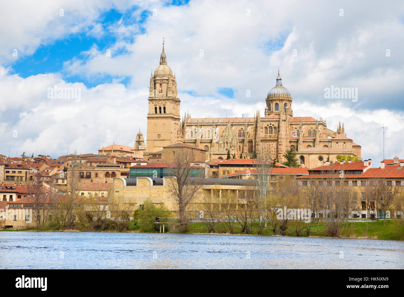 Salamanca - The Cathedral and the Rio Tormes river. Stock Photo