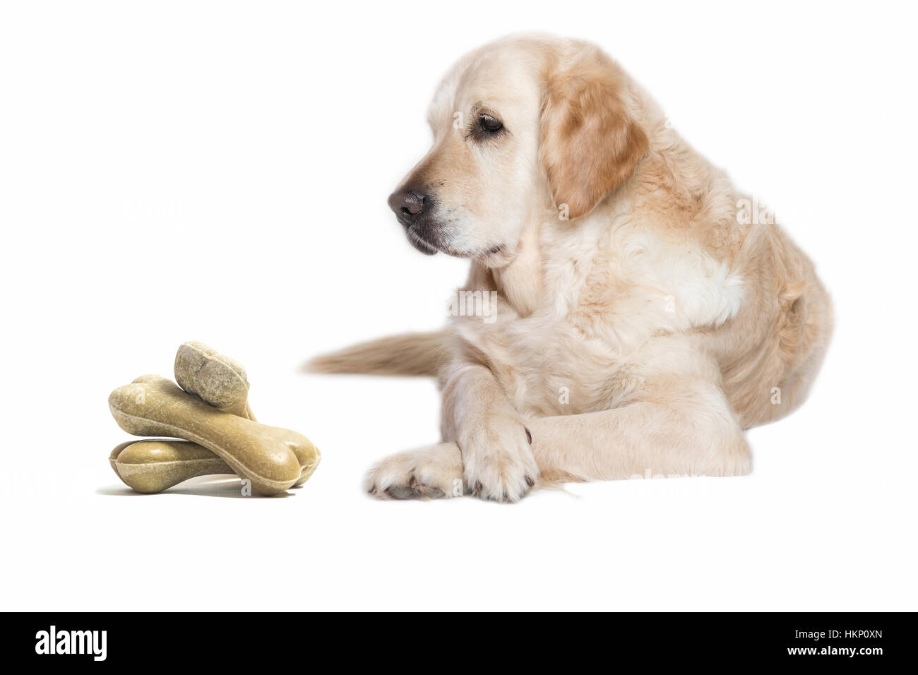 Are Knuckle Bones Good For Dogs Teeth