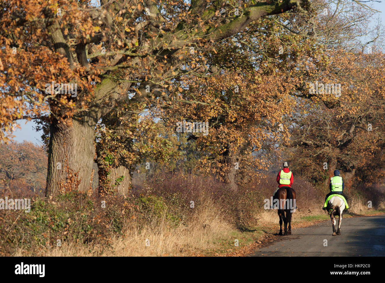 Rural Cheshire, England. Picturesque autumnal view of horse riders on a rural road near the village of Coddington. Stock Photo