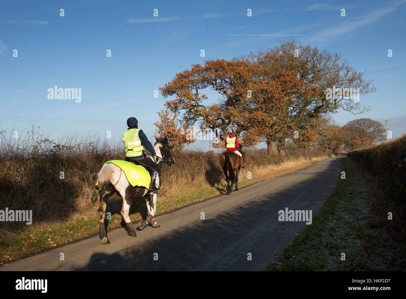 Rural Cheshire, England. Picturesque autumnal view of horse riders on a rural road near the village of Coddington. Stock Photo