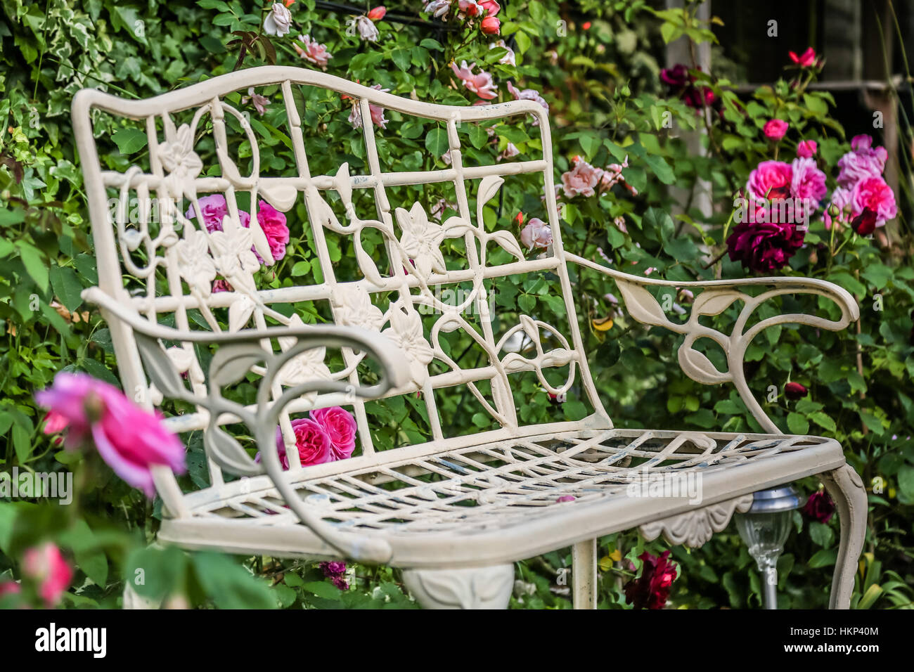 A Cream Coloured Garden Bench Surrounded By Pink And Red Roses
