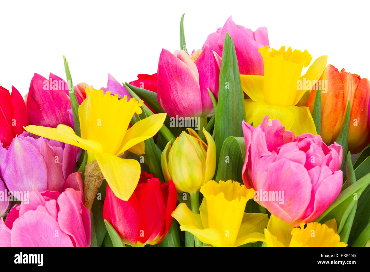 bouquet of tulips and daffodils Stock Photo - Alamy