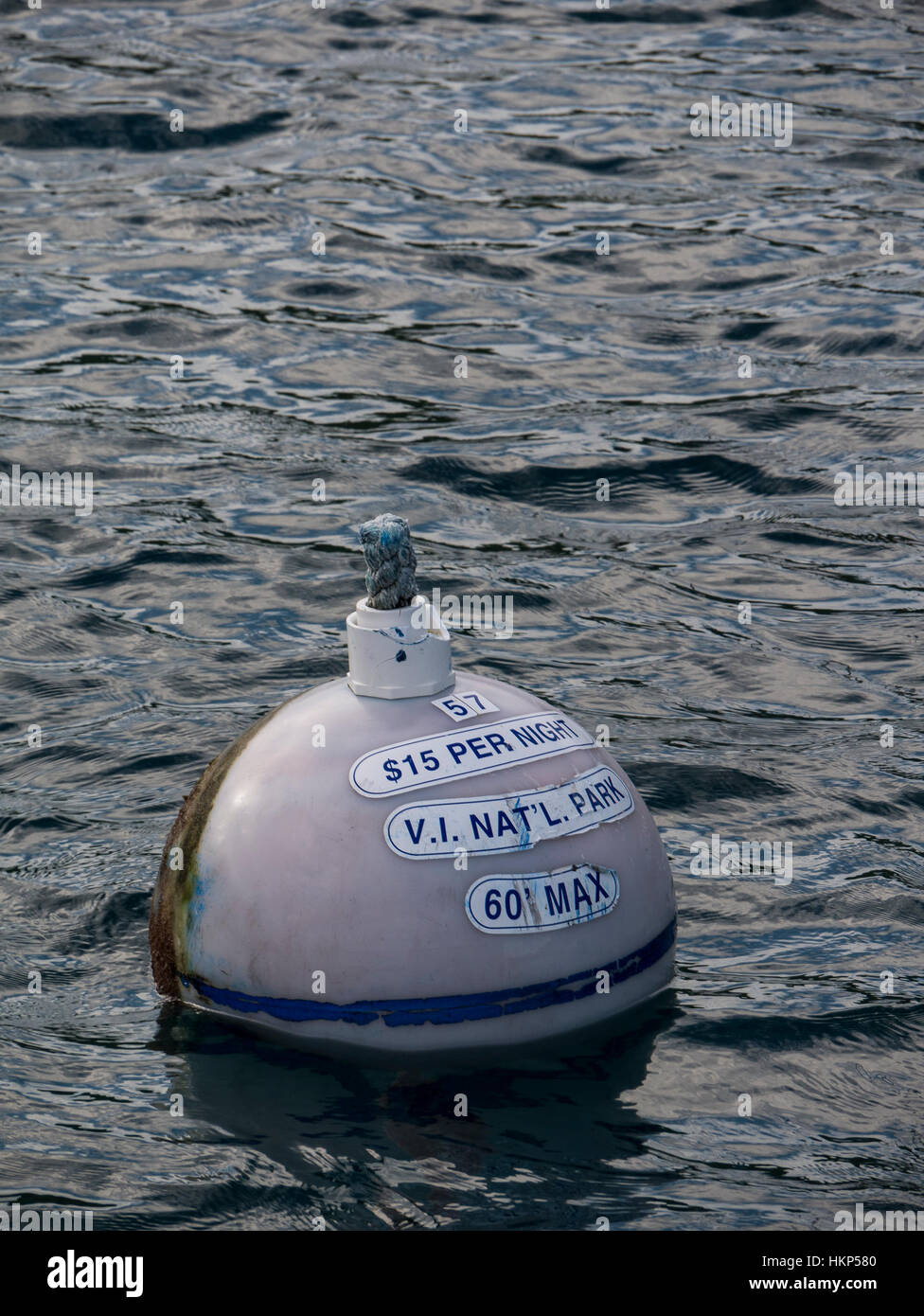 Mooring float, Leinster Bay, Virgin Islands National Park, St. John