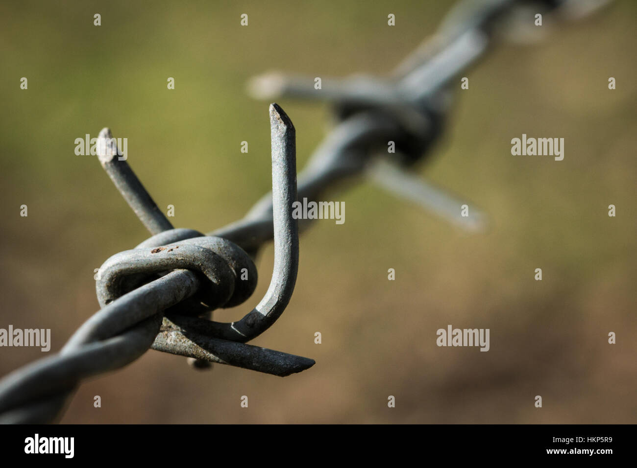 Barbed wire cut out hires stock photography and images Alamy