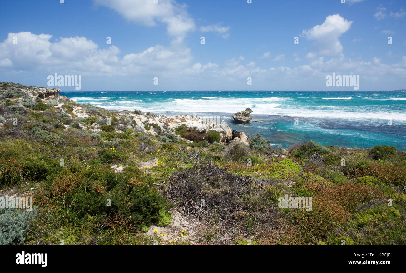Vegetated Rocks Vegetated dunes with limestone rock and an Indian Ocean seascape at ...