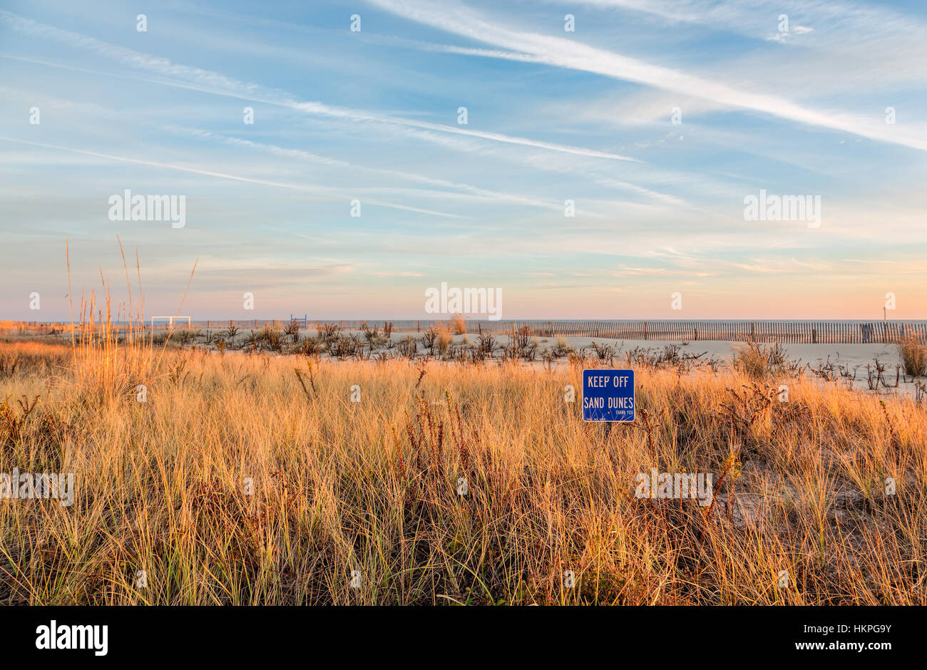 Evening Sunset at Cape May New Jersey at the shore. There are sand dunes and grass in the foreground. Stock Photo