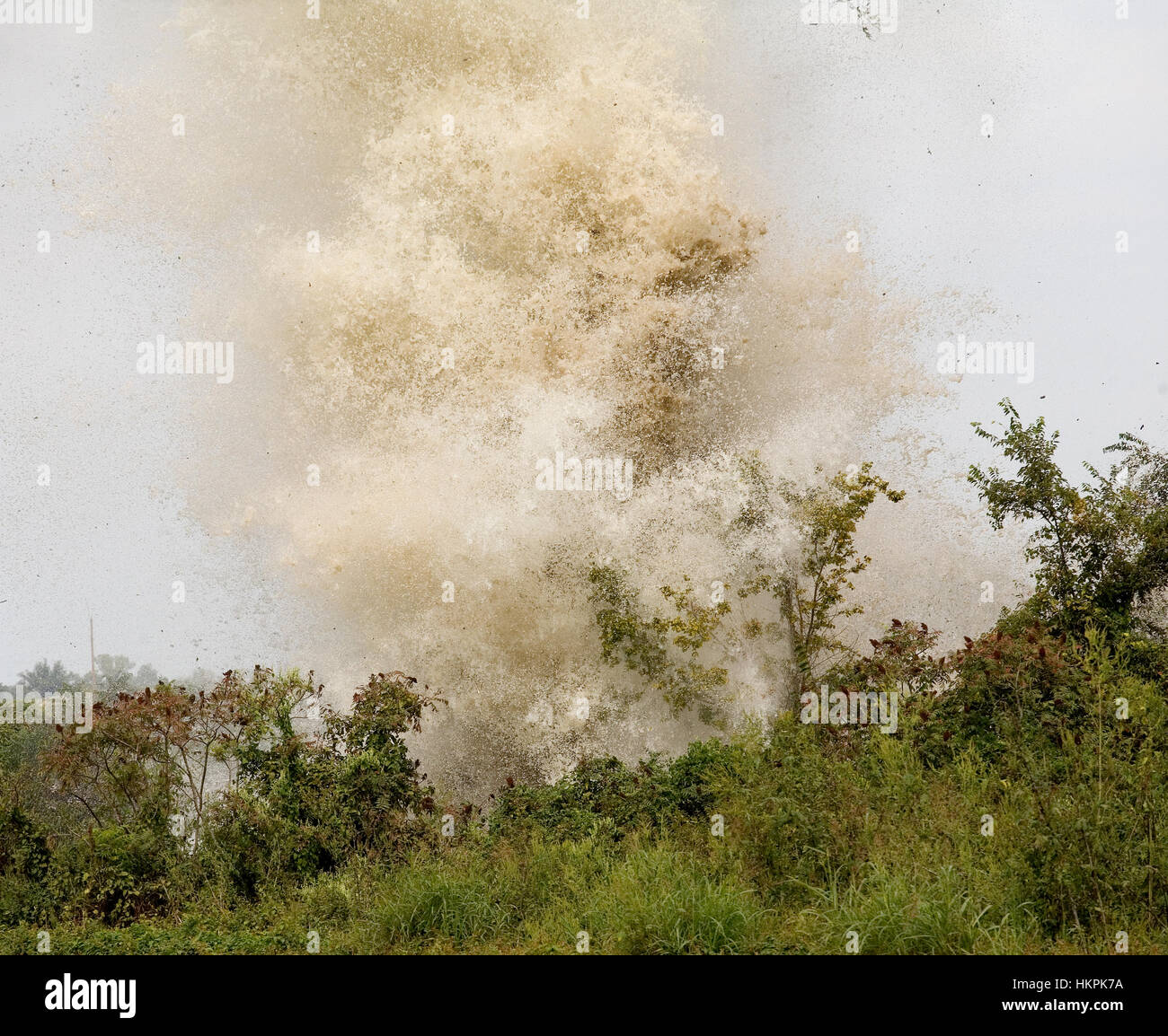 Trees and bushes being innundated with water from an explosion Stock Photo
