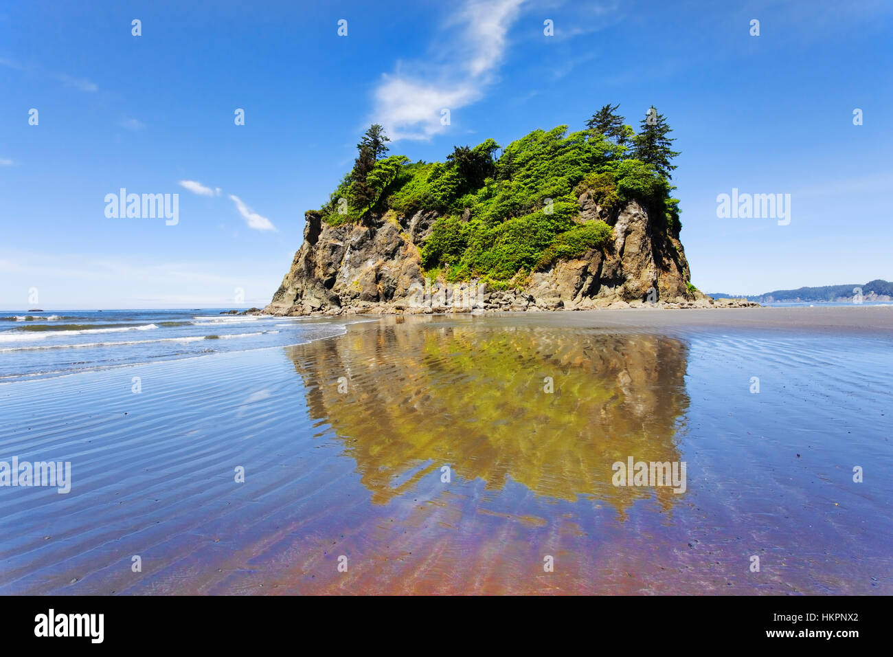 Sea Stack reflected in outgoing tide.  Ruby Beach, Kalaloch, Olympic National Park.  Beaches in the Kalaloch area of Olympic National Park, identified Stock Photo