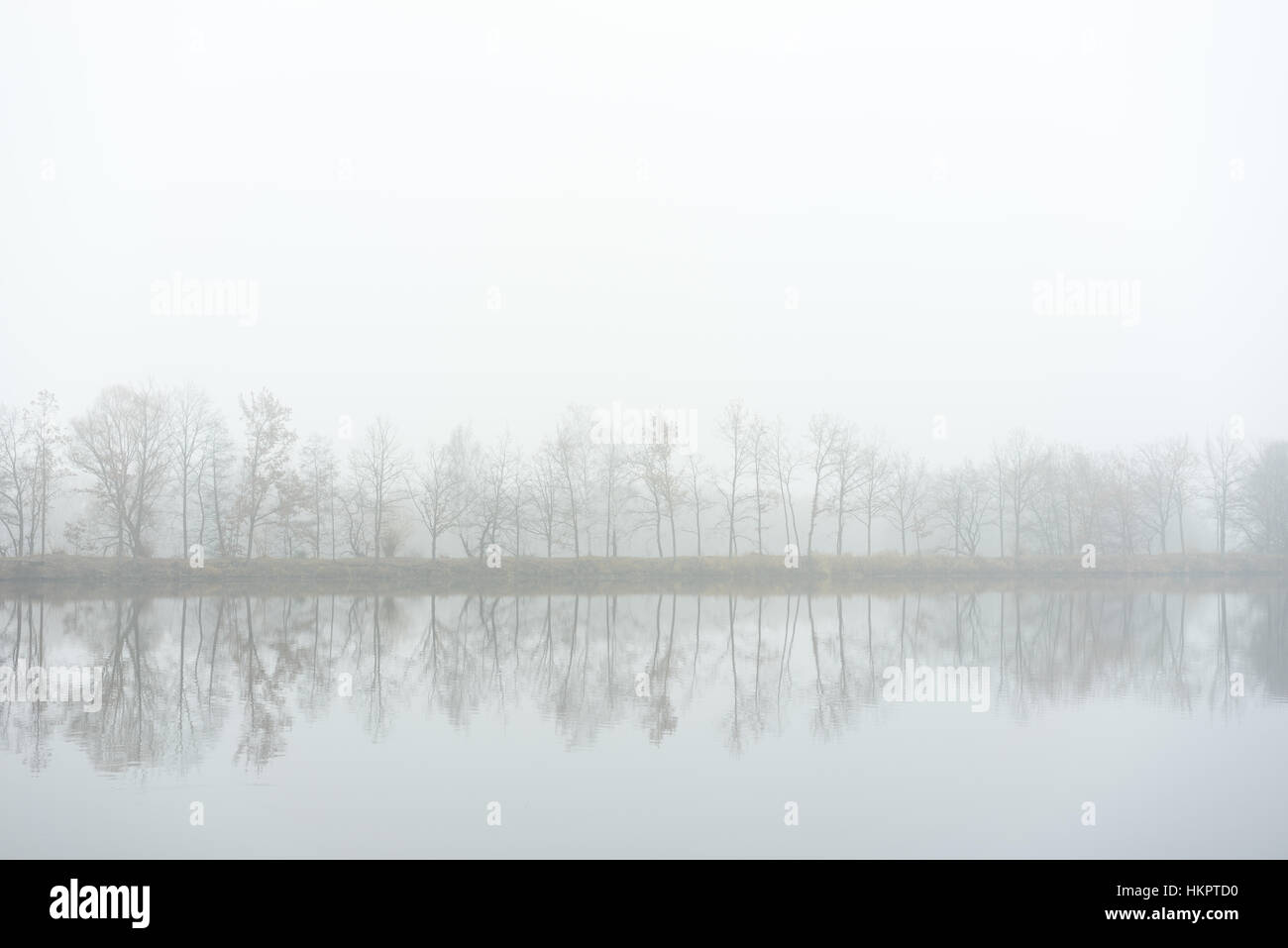 Trees on the bank of lake. Autumn fog mood Stock Photo - Alamy
