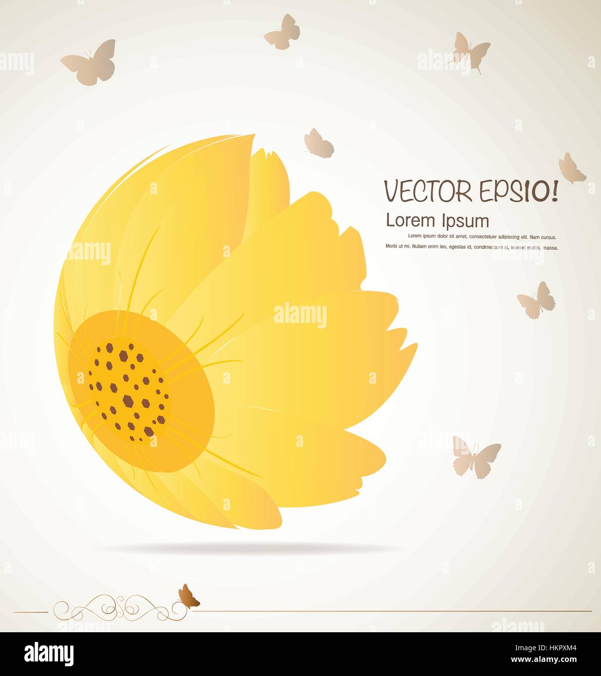 Vintage floral background - Daisies. Vector illustration Stock Vector ...