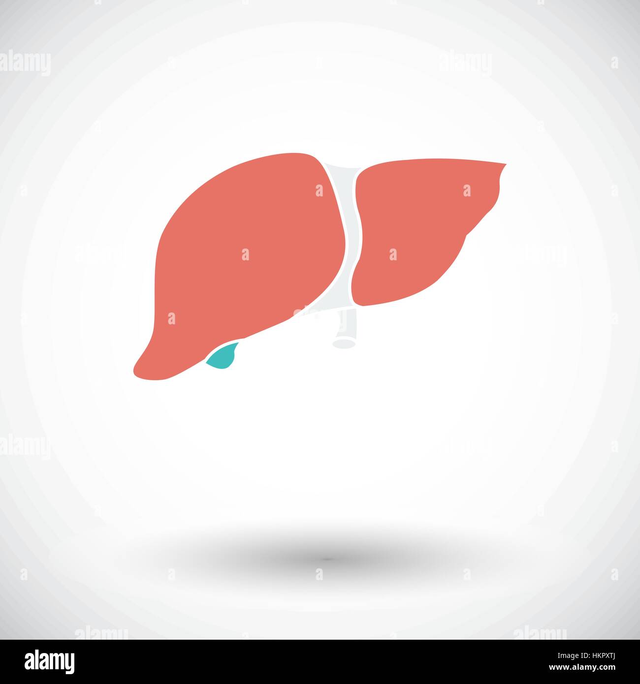 Liver. Single flat icon on white background. Vector illustration Stock ...