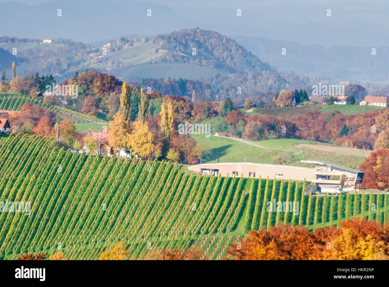 Gamlitz: Vineyards and modern winery - South Styrian wine road Stock Photo  - Alamy