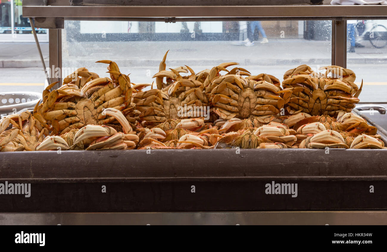 Cooked crabs waiting to be purchased. Kept in a refrigerator. Stock Photo