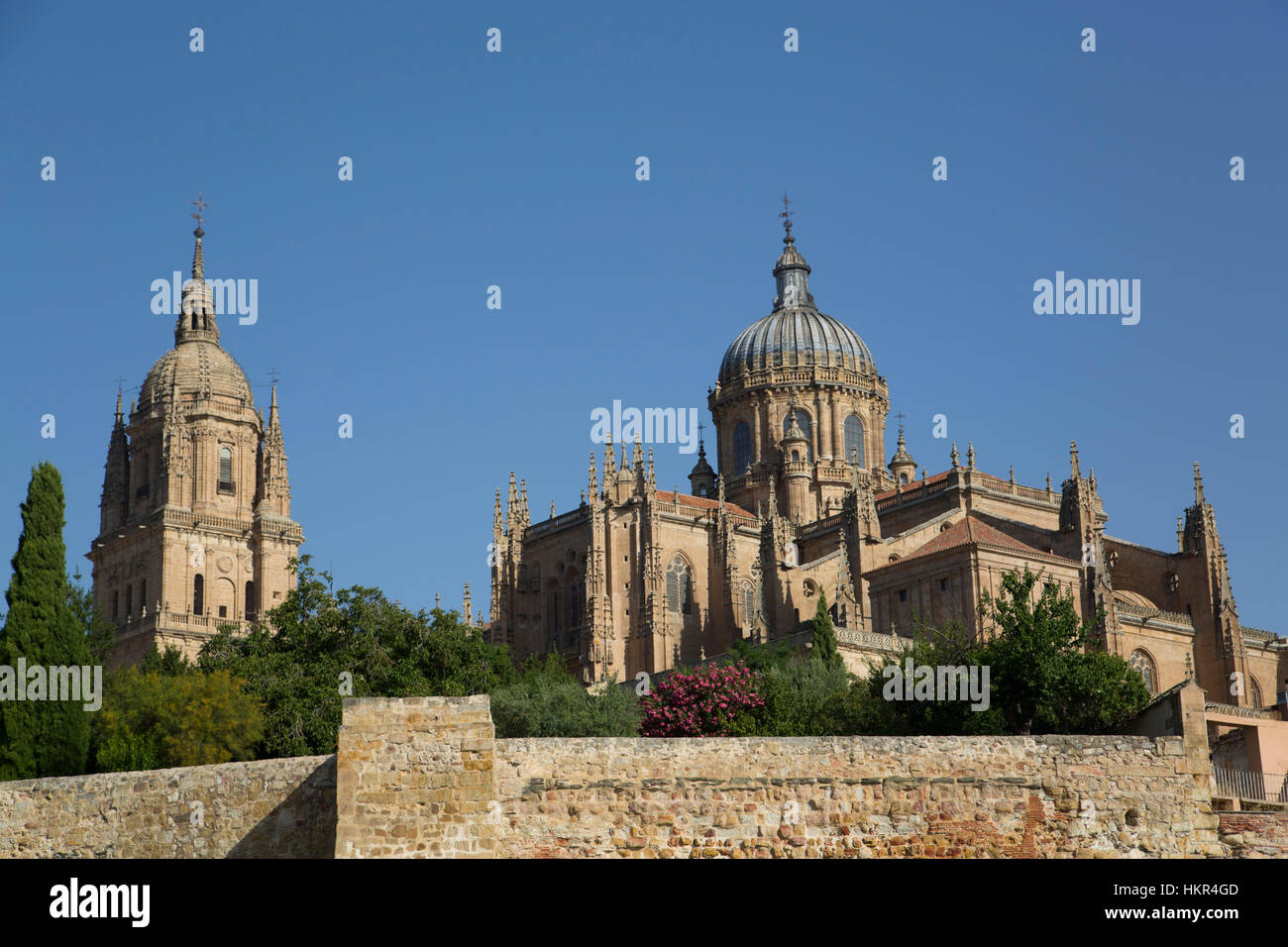 Cathedral of Salamanca, Salamanca, UNESCO World Heritage Site, Spain Stock Photo