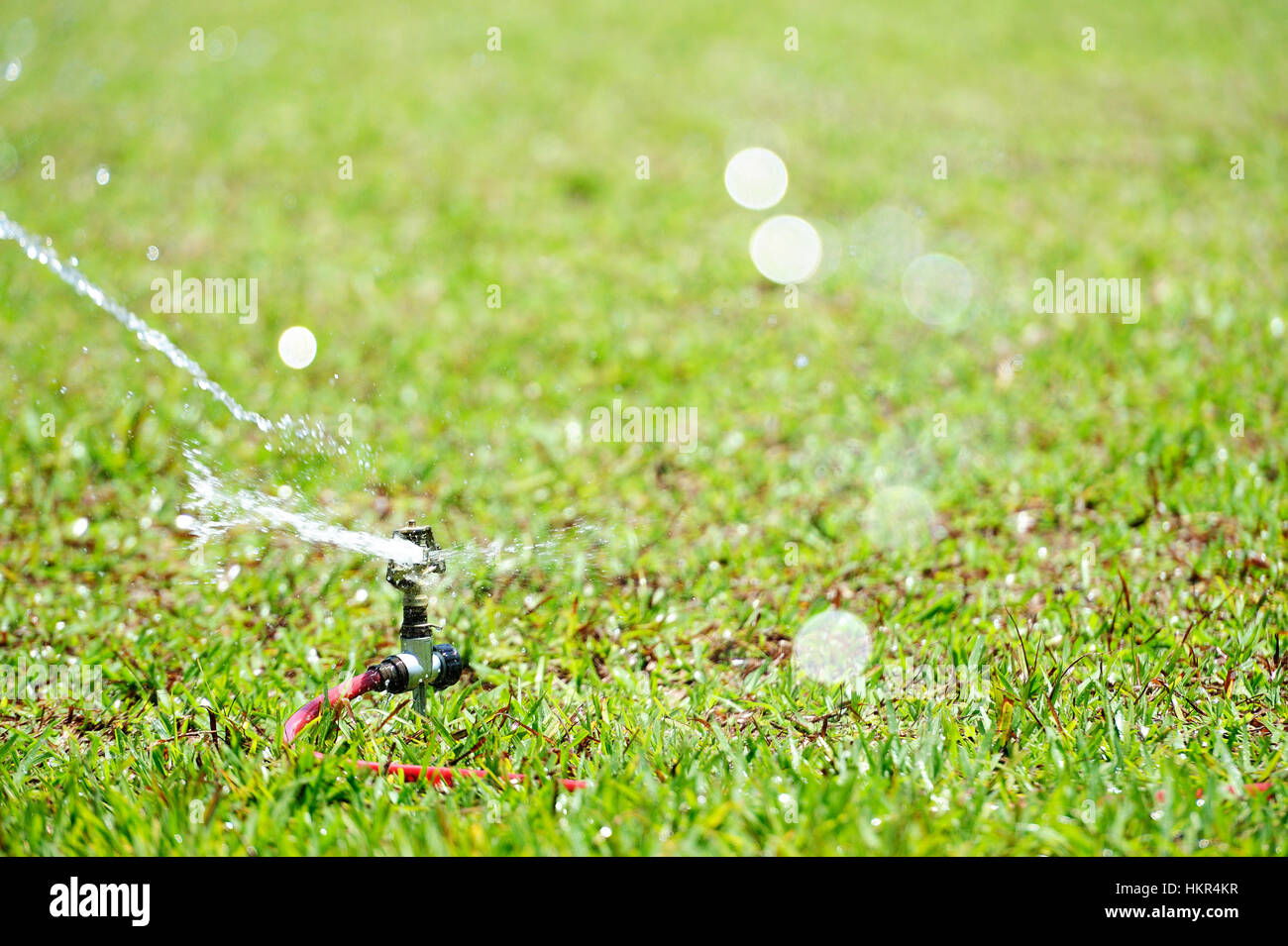 Sprinkler on lawn hi-res stock photography and images - Alamy