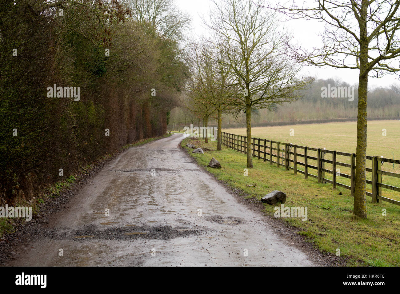 Bridleway on the Daylesford Estate, Daylesford, Gloucestershire