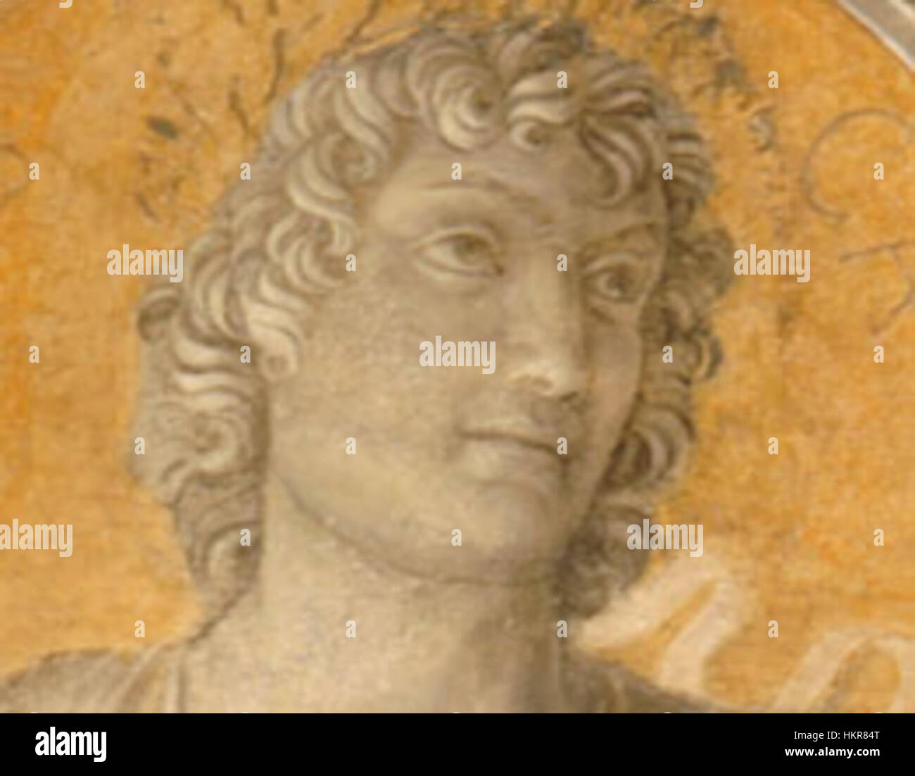 Italian Renaissance Camera Picta room renaissance hi-res stock photography and images - Alamy