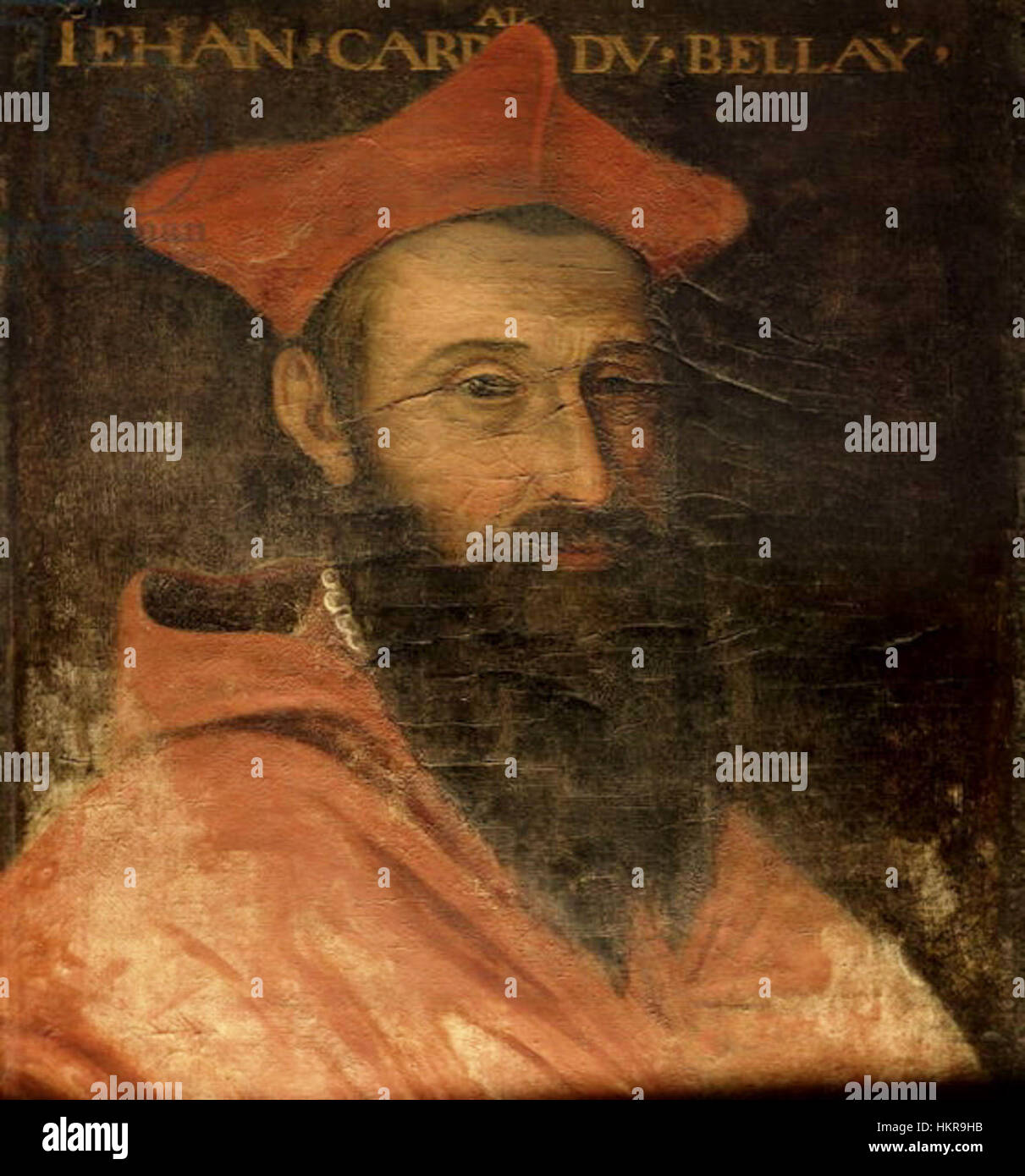 Cardinal Jean du Bellay (14921560 Stock Photo Alamy