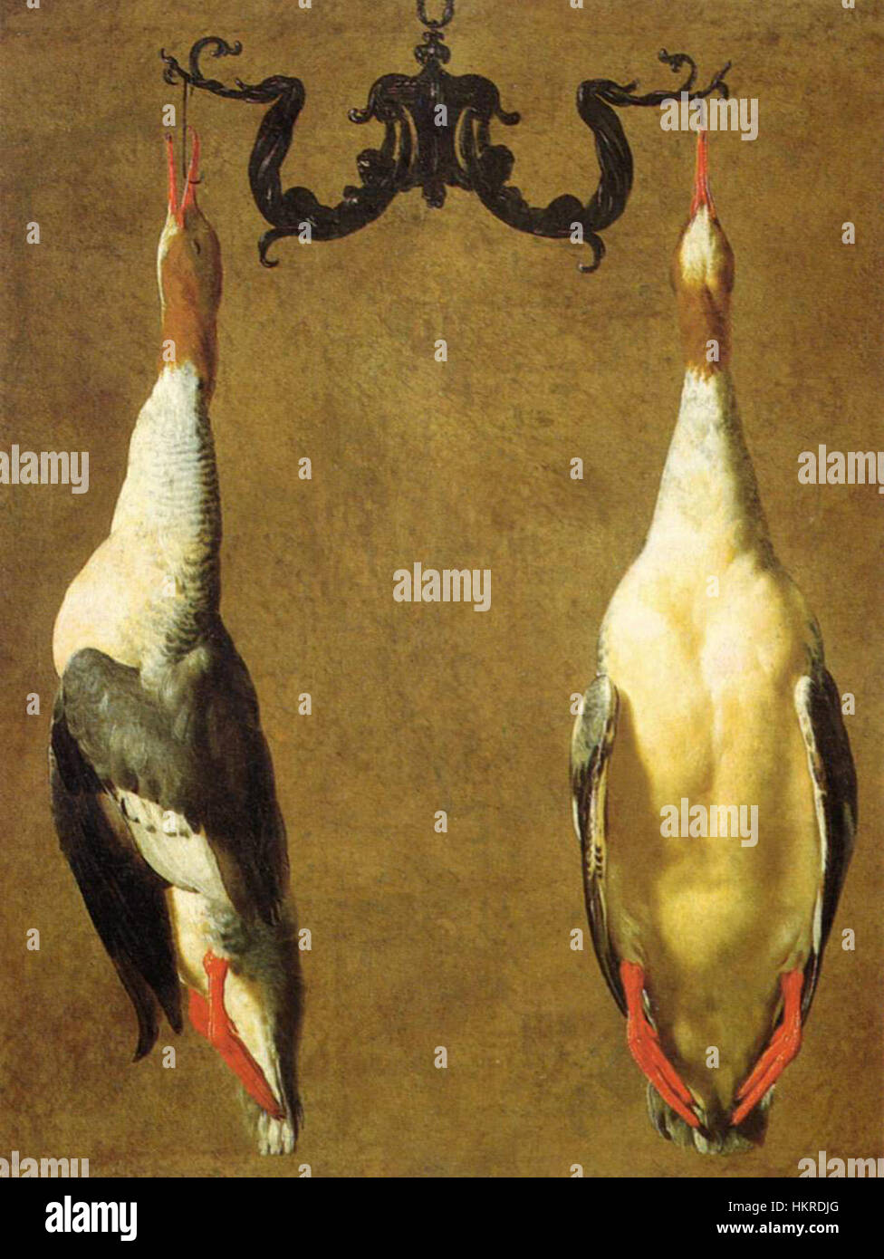 *Two Hanged Teals* by Cesare Dandini is an oil painting showcasing the artist's mastery in depicting natural subjects with attention to detail, highlighting his expertise in still life painting. Stock Photo
