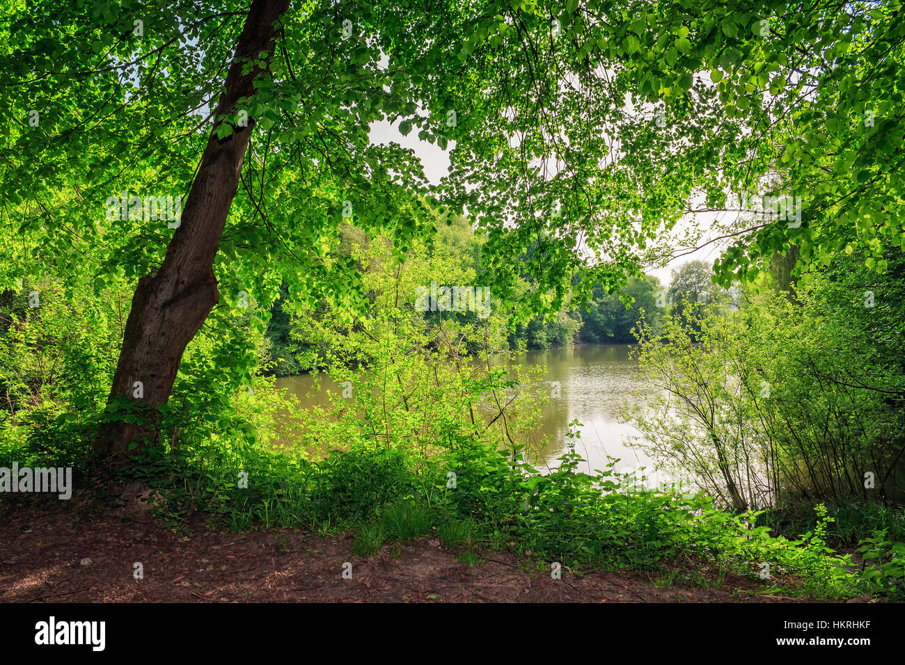 A pond near the park hi-res stock photography and images - Alamy