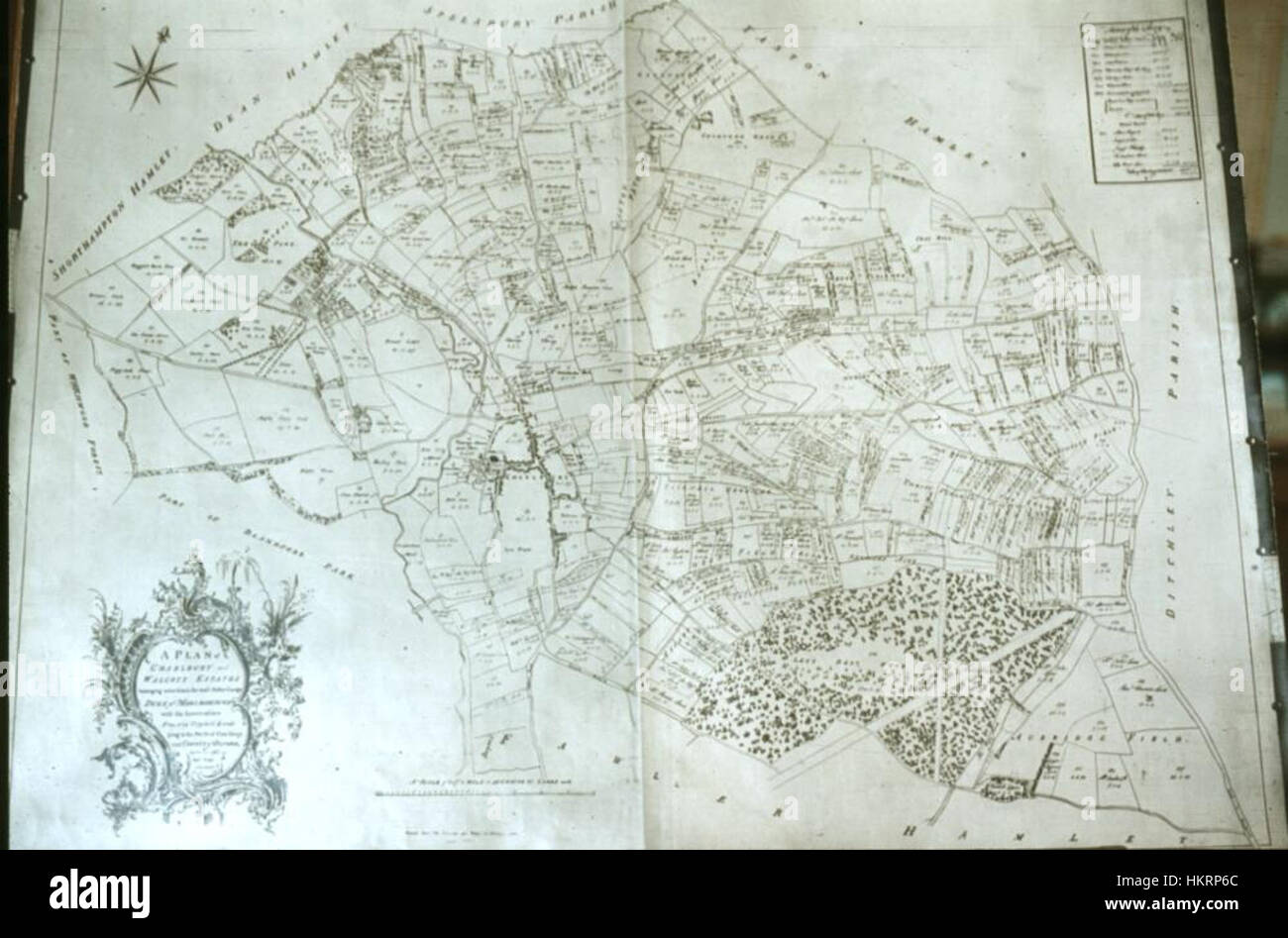 Bodleian Libraries, A Plan of Charlbury and Walcott Estates, 1761 Stock Photo Alamy