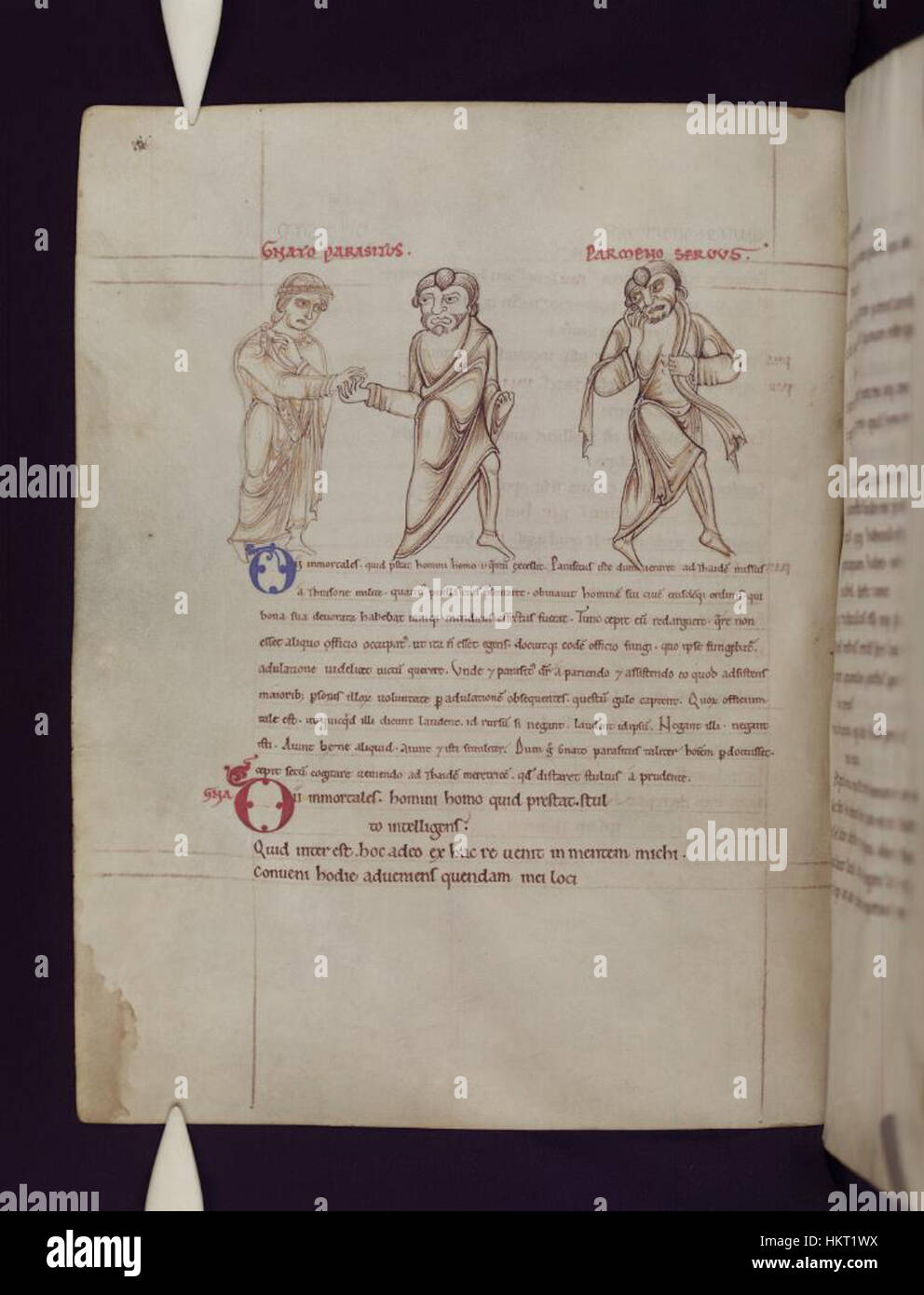 Terence Rome A manuscript page from the Comedies of Terence, held at the Bodleian ...