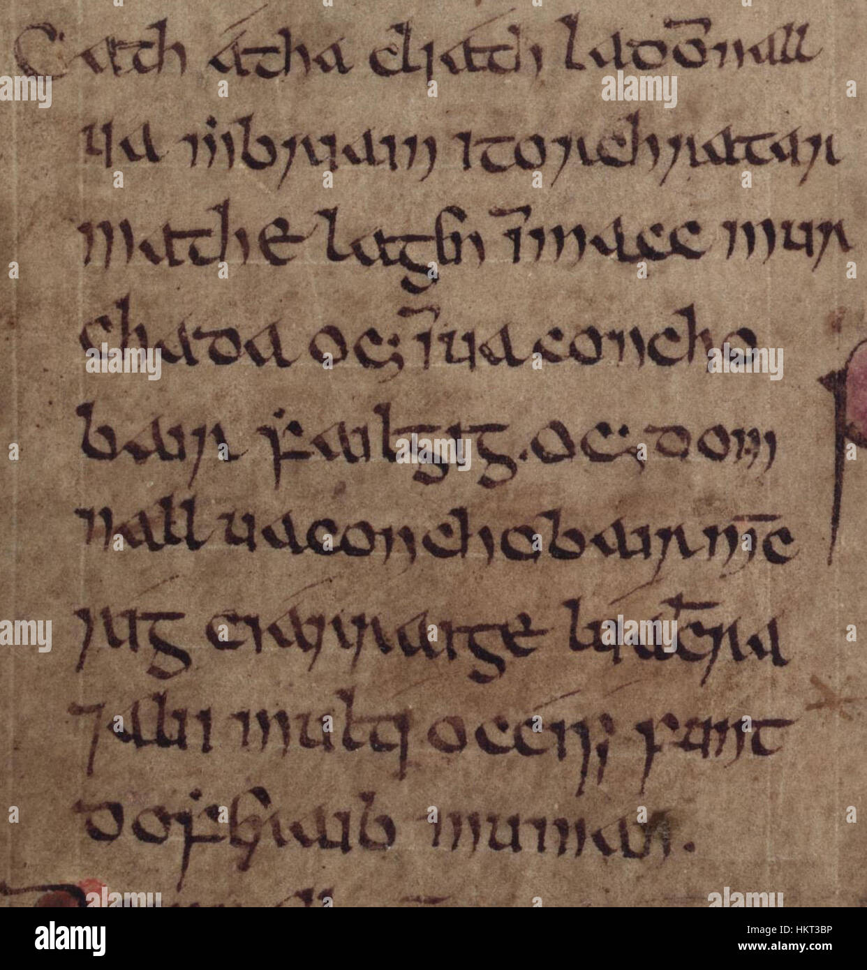 Domnall mac Muirchertaig (Annals of Inisfallen Stock Photo Alamy