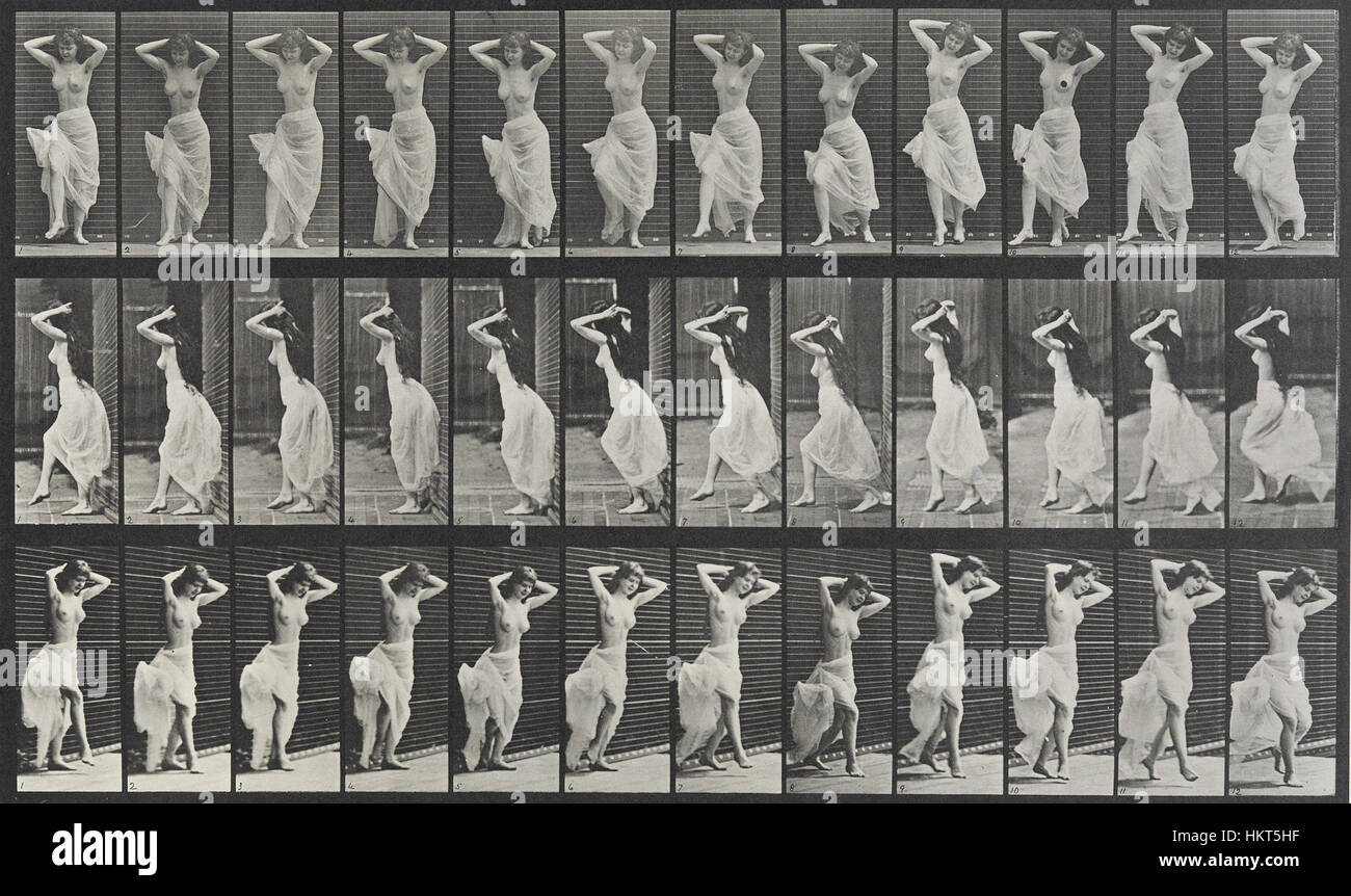 Eadweard muybridge animal locomotion hi-res stock