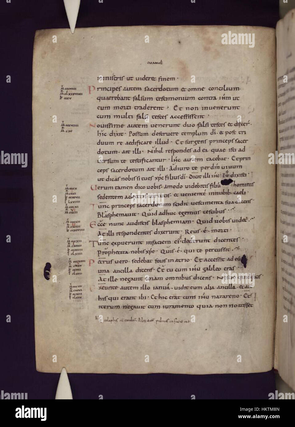 Medieval Times Script The Latin Gospels, housed in the Bodleian Libraries, contain medieval ...