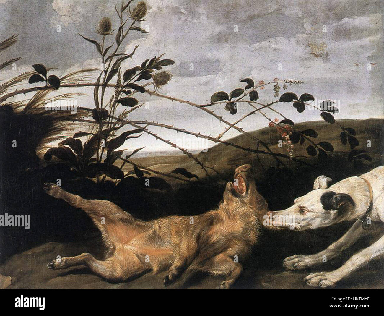 This painting by Frans Snyders depicts a greyhound chasing a young wild ...