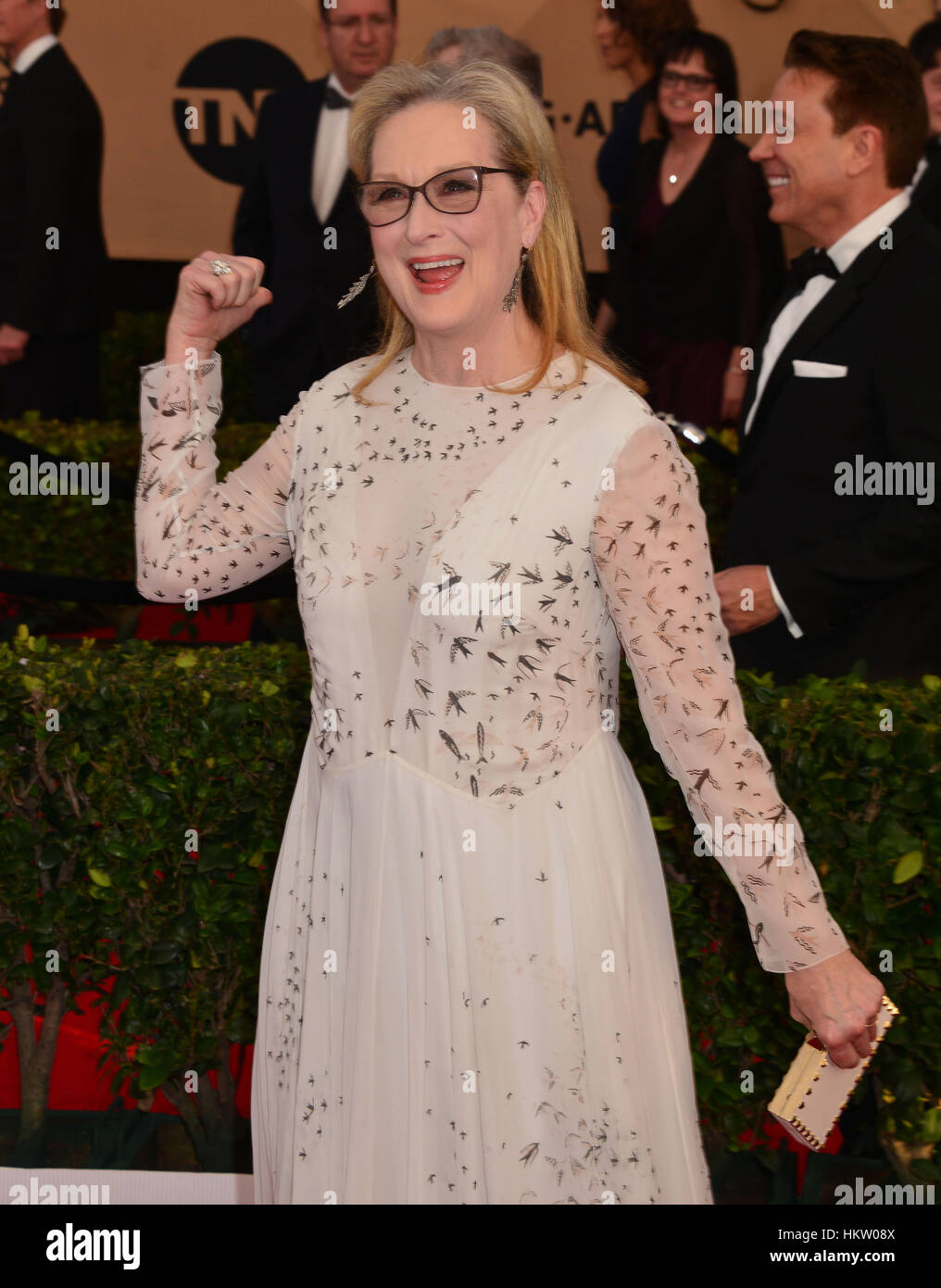 Los Angeles, USA. 29th Jan, 2017. Meryl Street 0144 arriving at the 23rd Annual Screen Actor Awards 2017 at the Shrine Amphitheater in Los Angeles. January 29, 2017. Credit: Gamma-USA/Alamy Live News Stock Photo