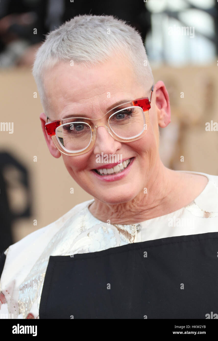 Los Angeles, California, USA. 29th Jan, 2017. Lori Petty at The 23rd